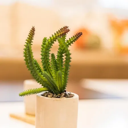 Stylish 1br With Prime Location And Bold Design Apartman